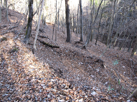 20161206hike (356)
